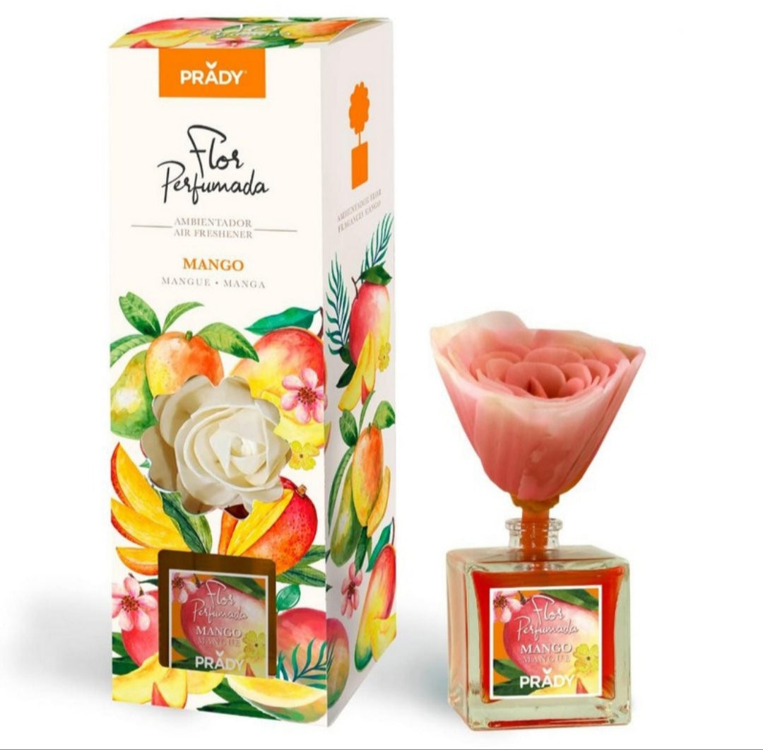 Mikado fleur Mangue