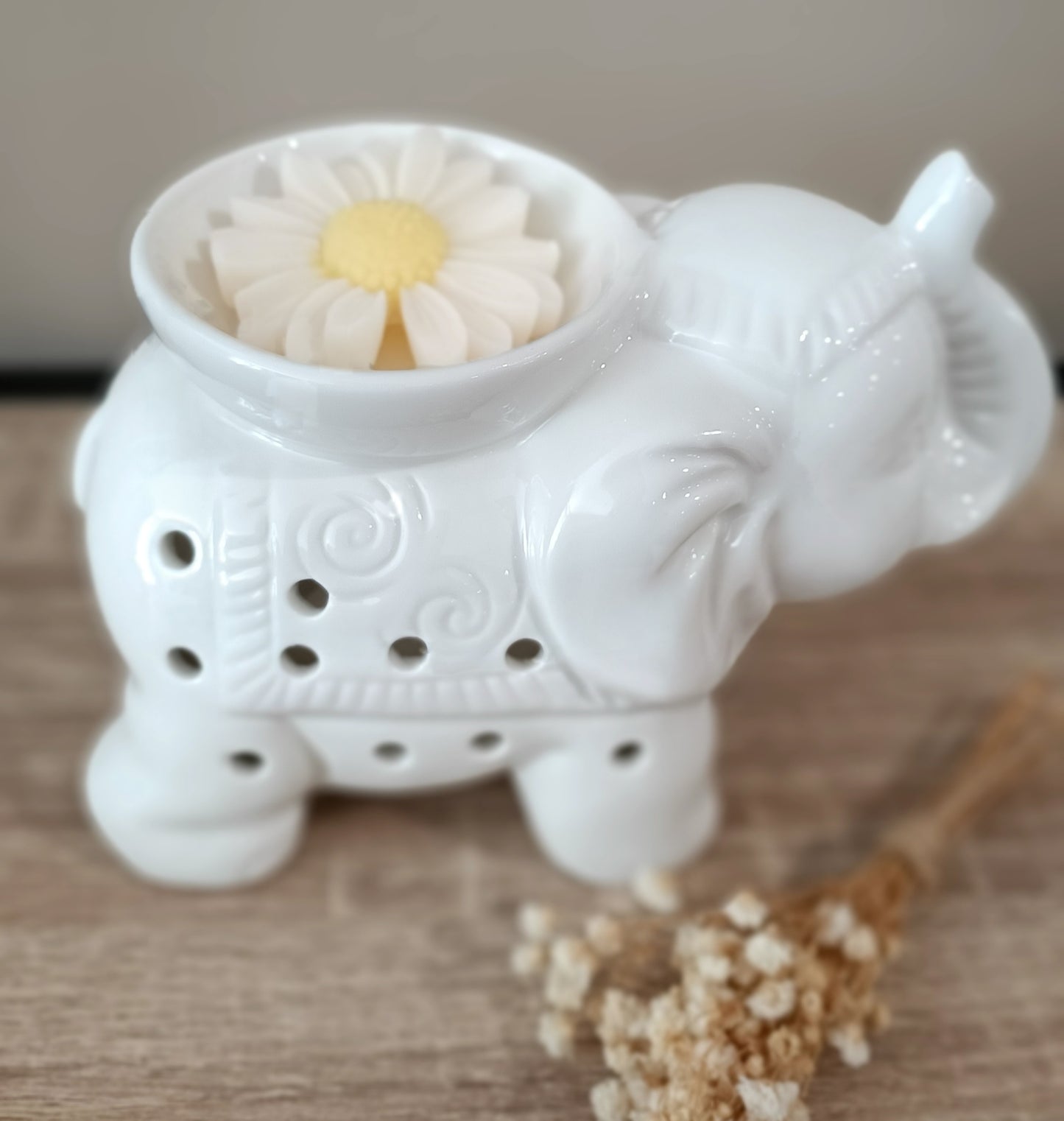 Éléphant blanc