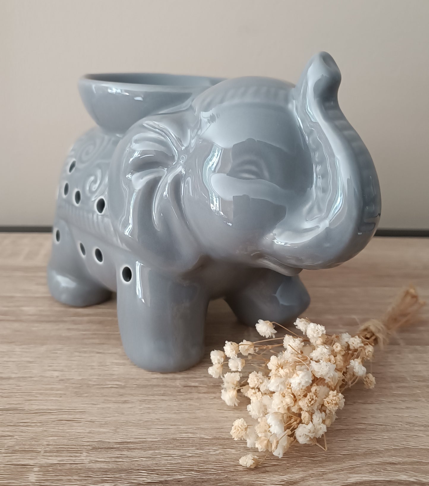 Éléphant gris