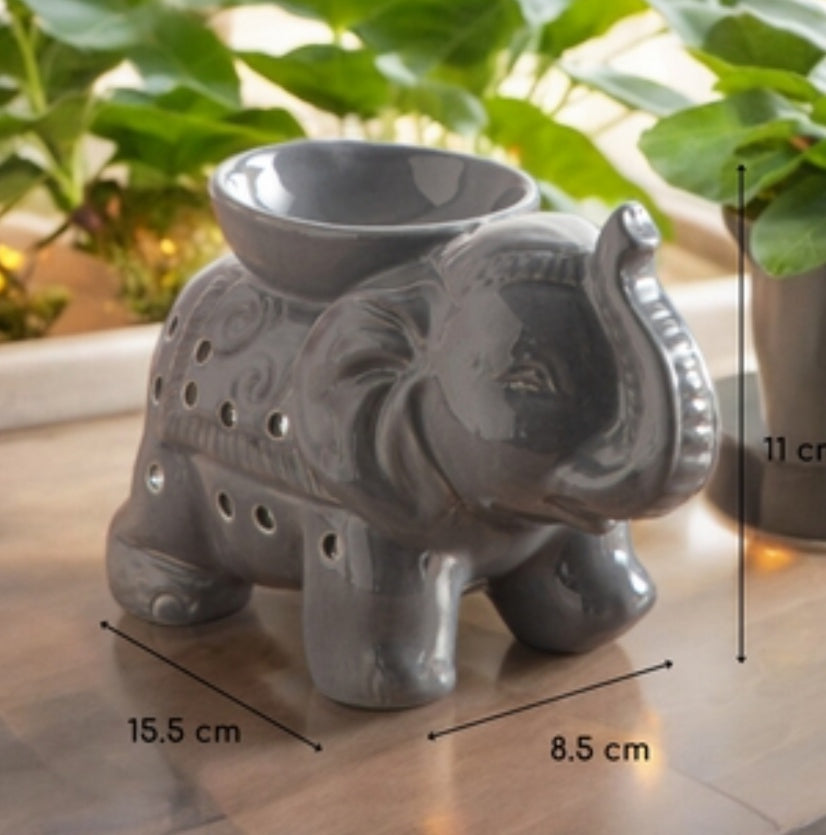 Éléphant gris