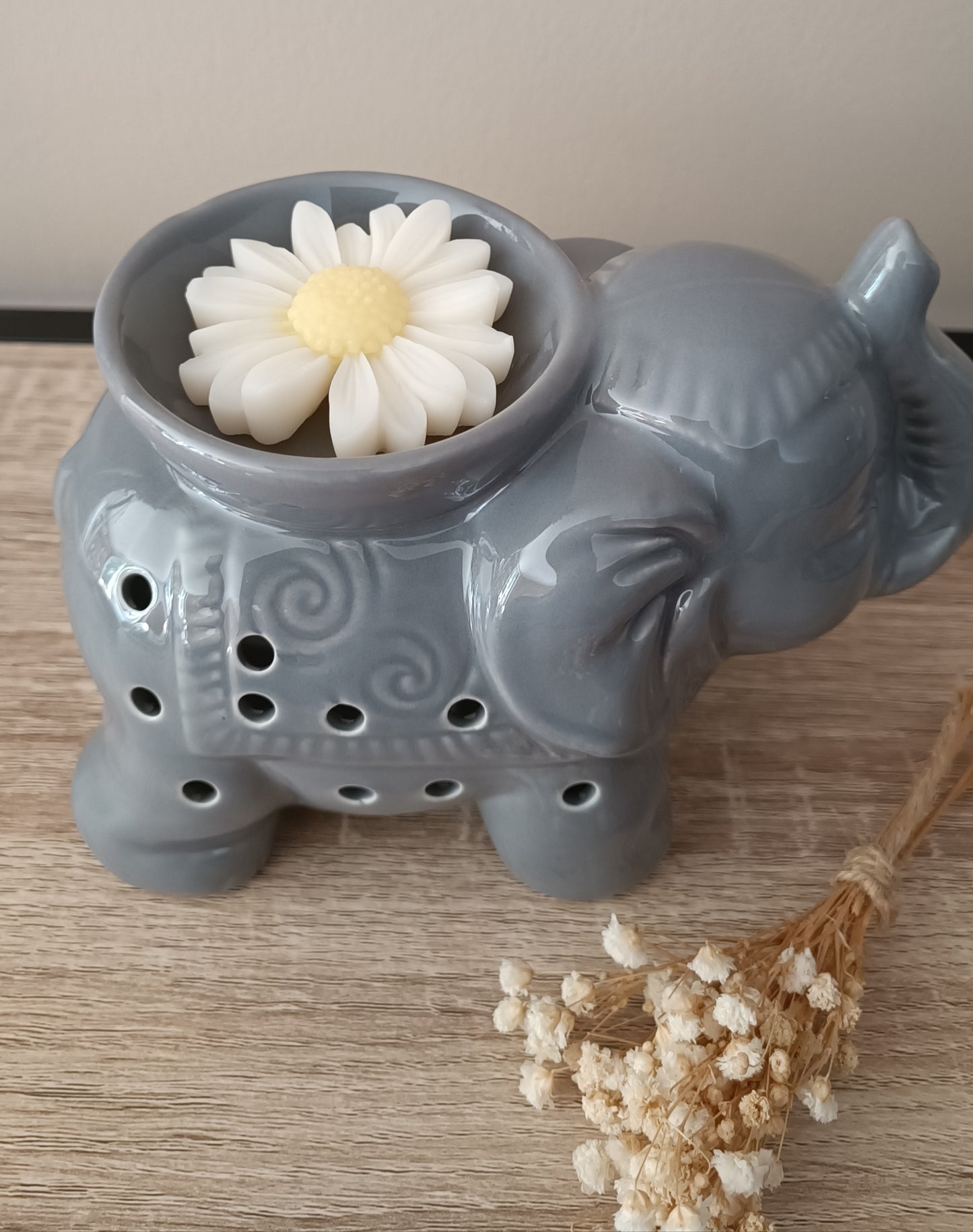 Éléphant gris