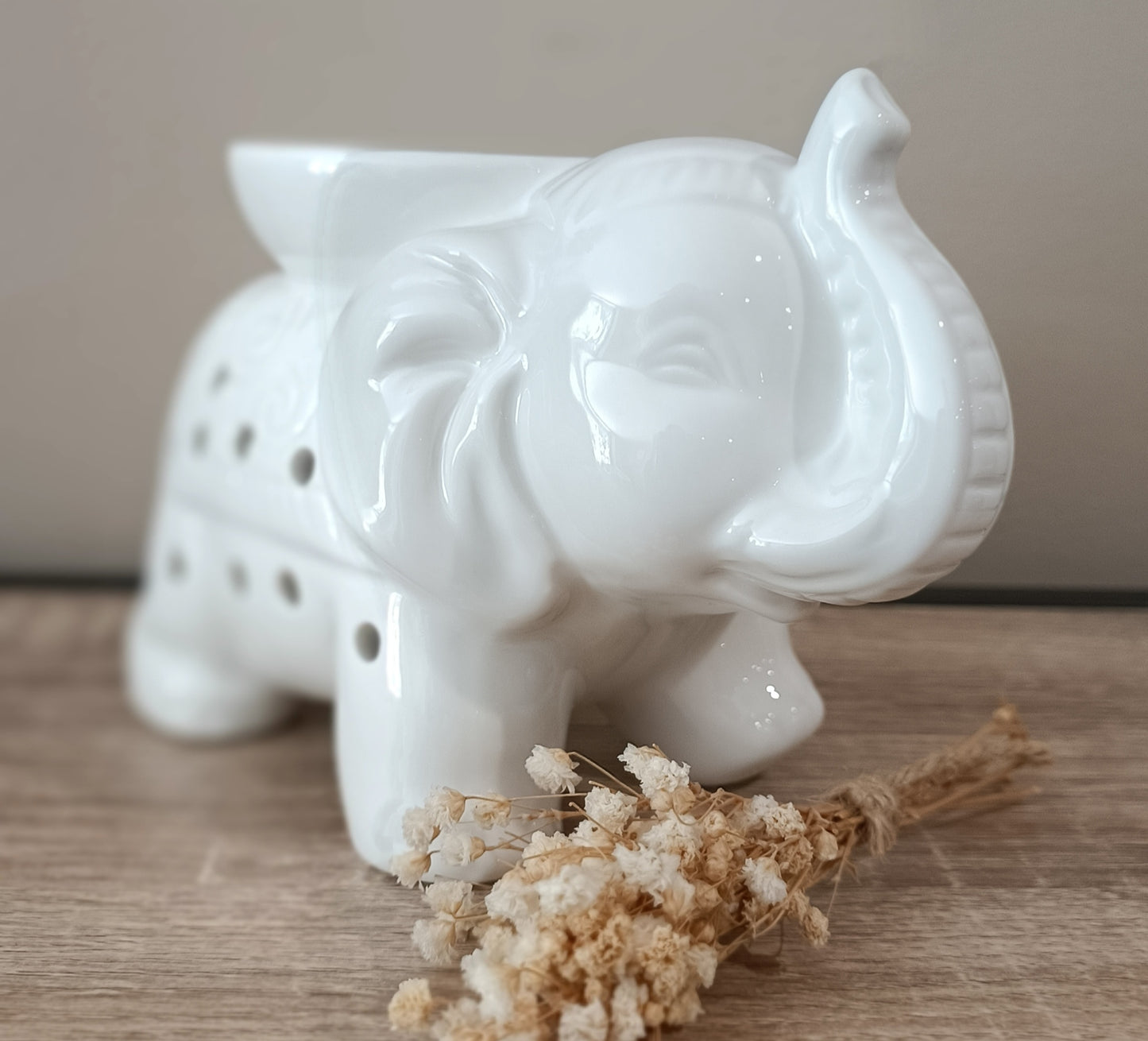 Éléphant blanc