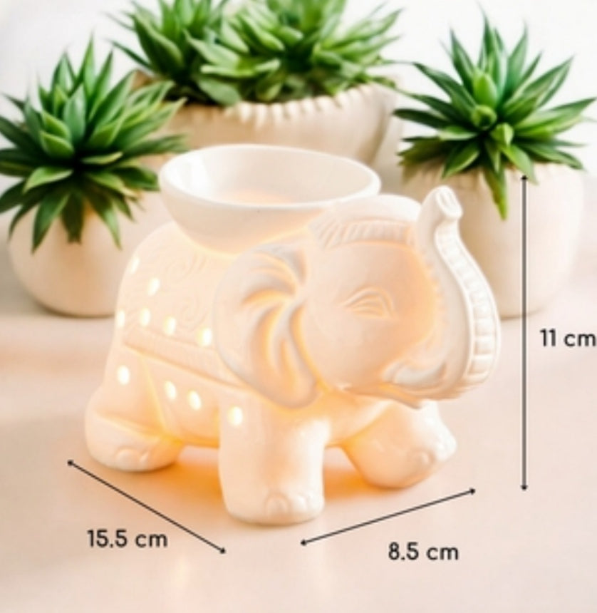 Éléphant blanc