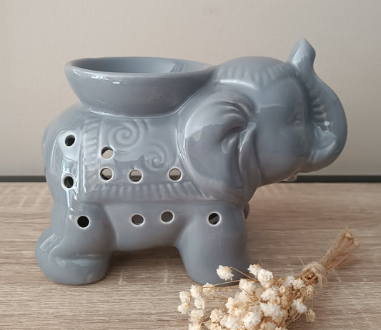 Éléphant gris
