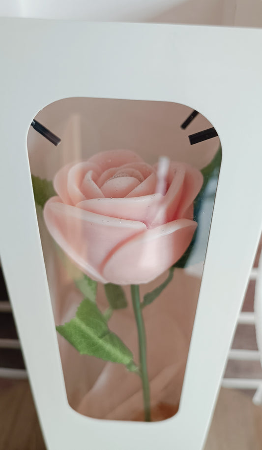 Rose éternelle parfumée