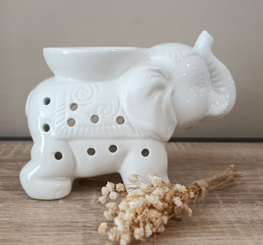 Éléphant blanc